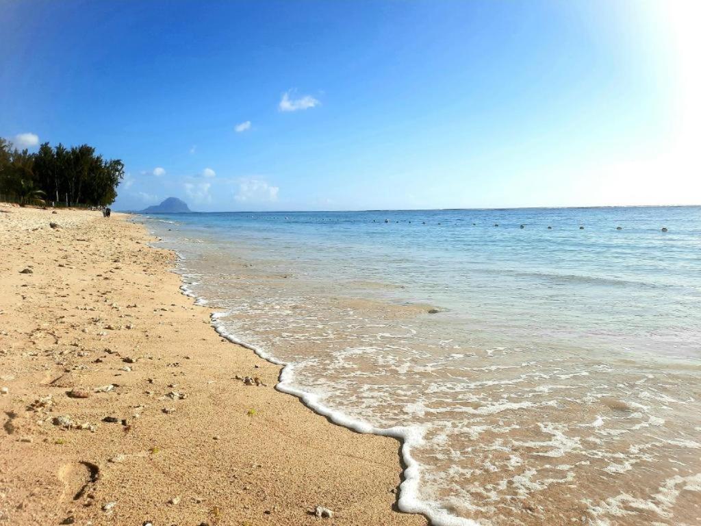 Sunkissed - Brand New Beach Apartment Located 50M From Beach Flic en Flac Ngoại thất bức ảnh